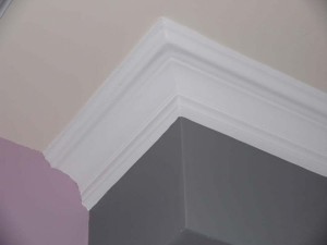 Large Coving 5