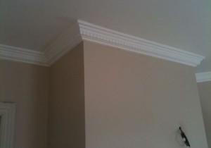 Dental Coving 5"