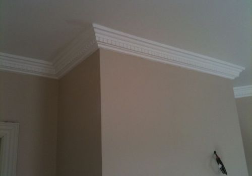 Dental Coving 5"
